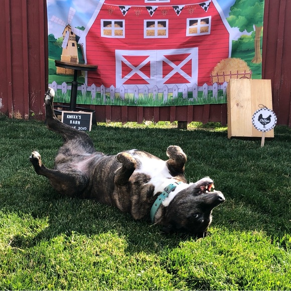 End of duty 6/12/24 - Picture 5 of 15